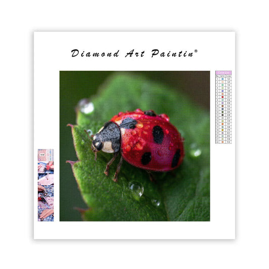 Ladybug on a Leaf - Diamond Painting