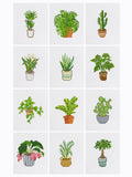 Mini-Indoor Plant Paradise