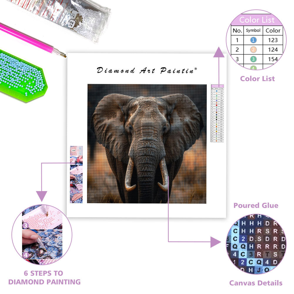 Elephant Wisdom - Diamond Painting