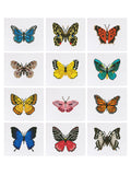 Mini-Vibrant Butterfly Garden