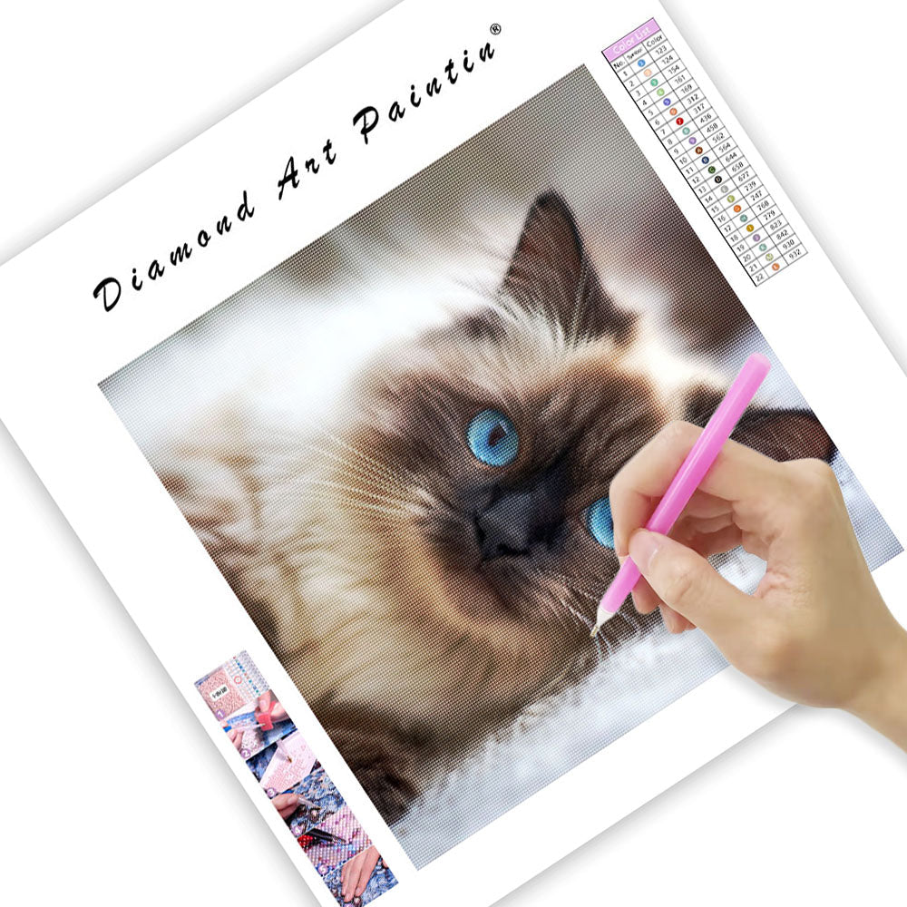 Ragdoll Belly Up - Diamond Painting
