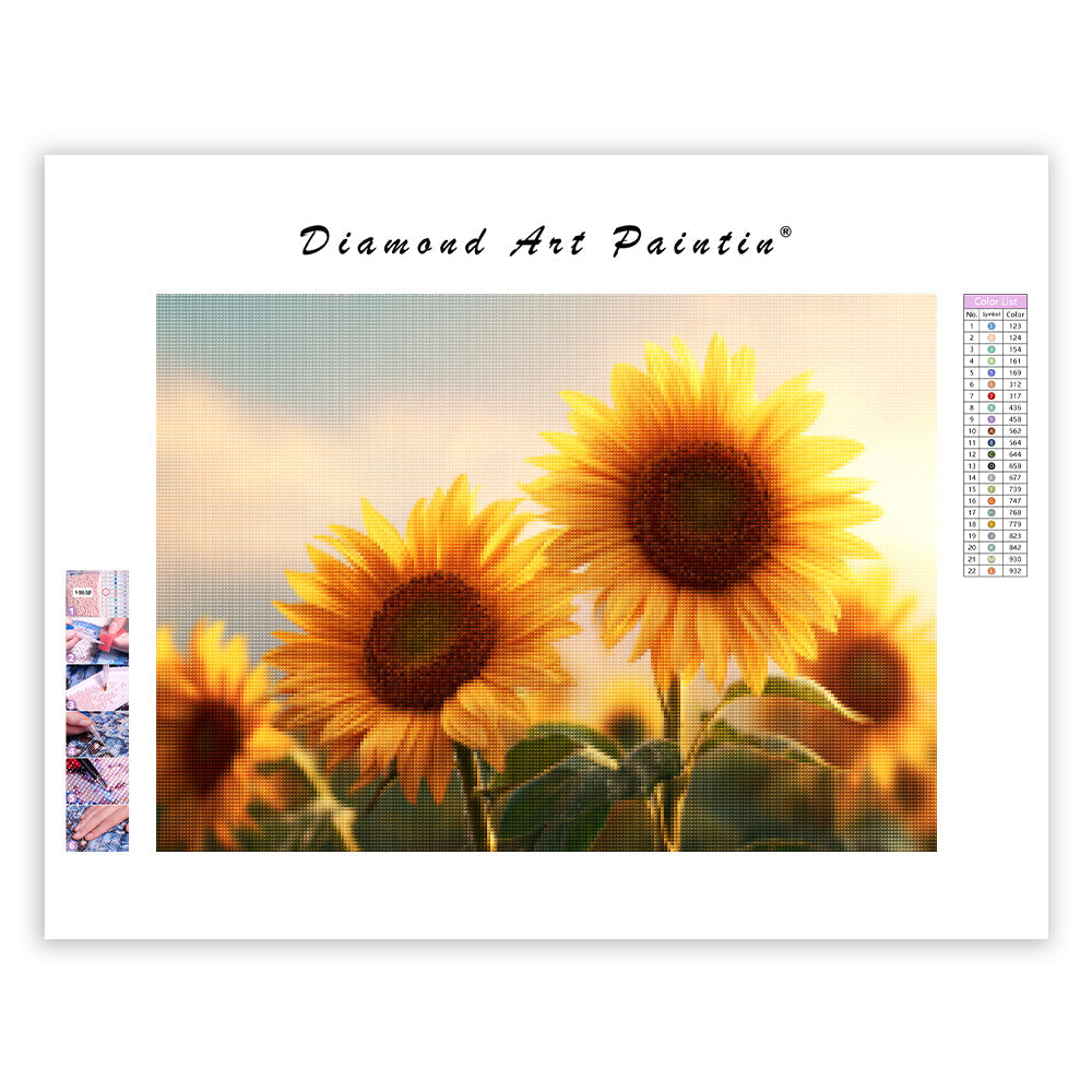 Sunflowers - Diamond Painting