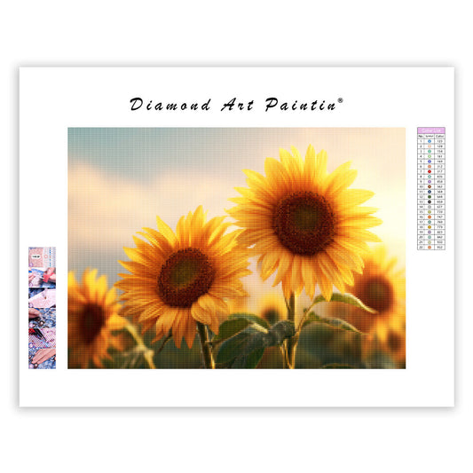 Sunflowers - Diamond Painting