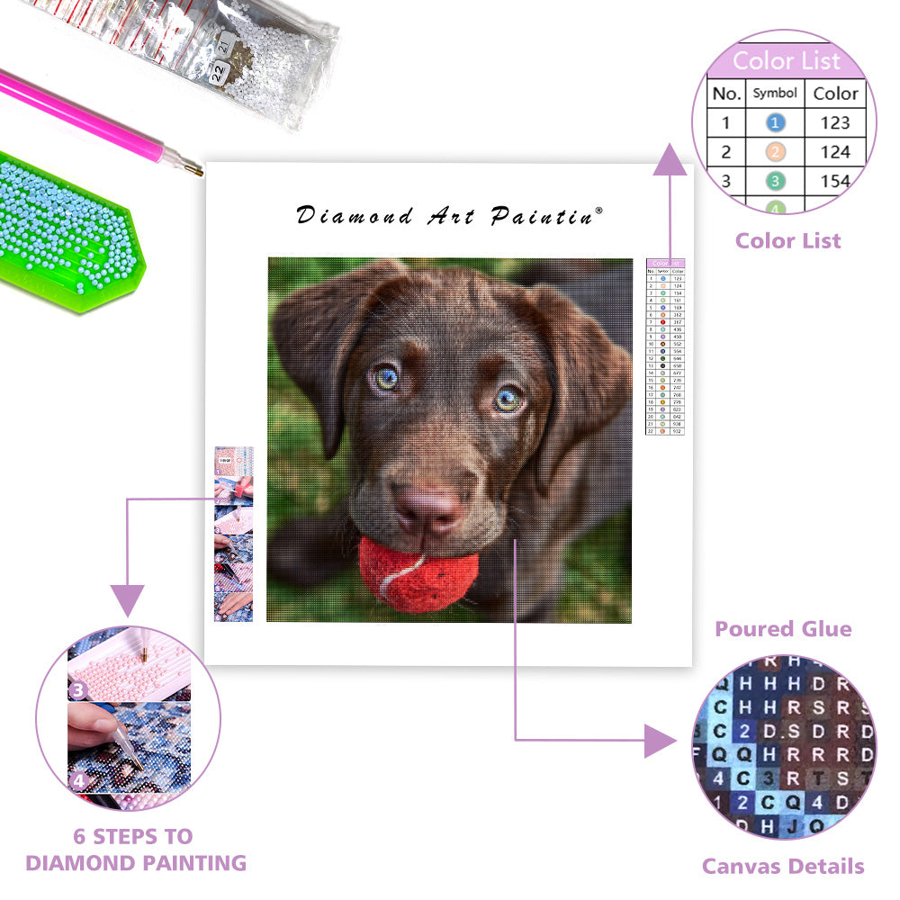 Playful Lab Puppy - Diamond Painting