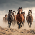 Wild Mustangs Running Free - Diamond Painting