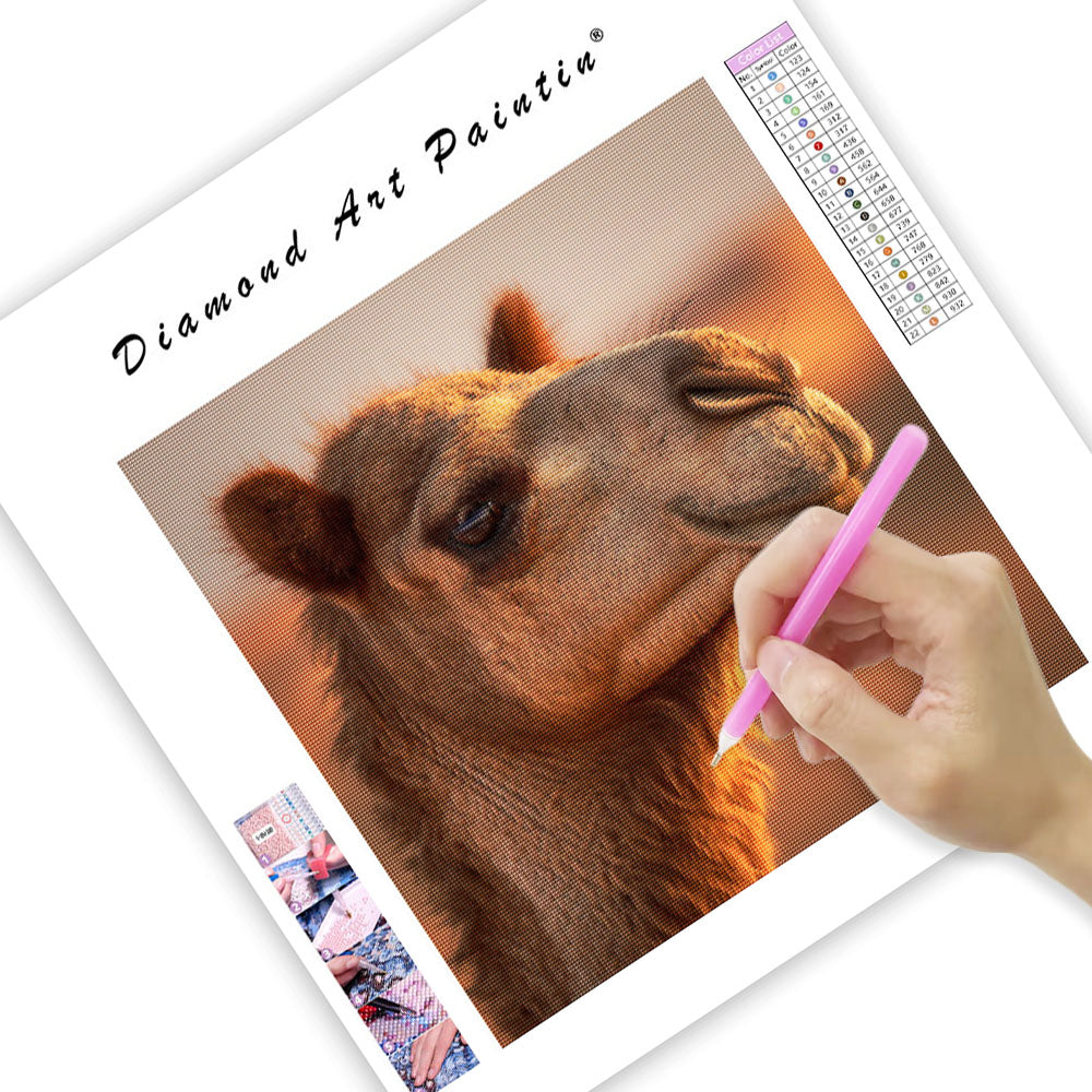 Camel in the Desert - Diamond Painting