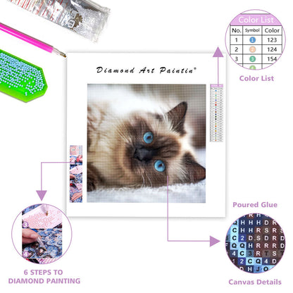 Ragdoll Belly Up - Diamond Painting