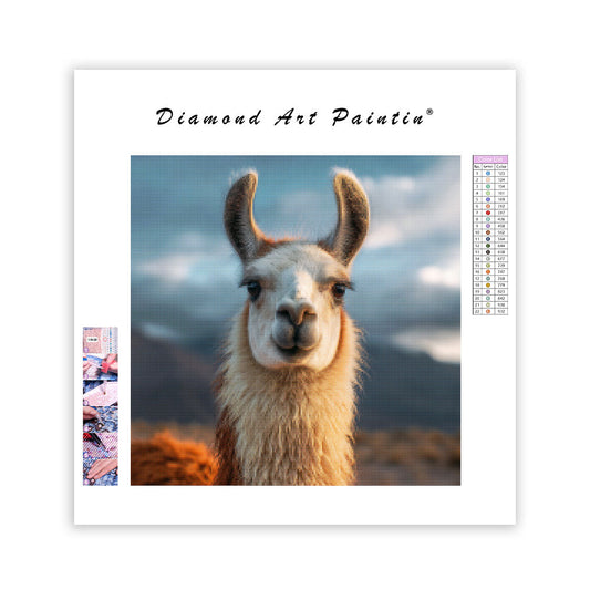 Llama Portrait - Diamond Painting