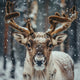 Winter Reindeer - Diamond Painting