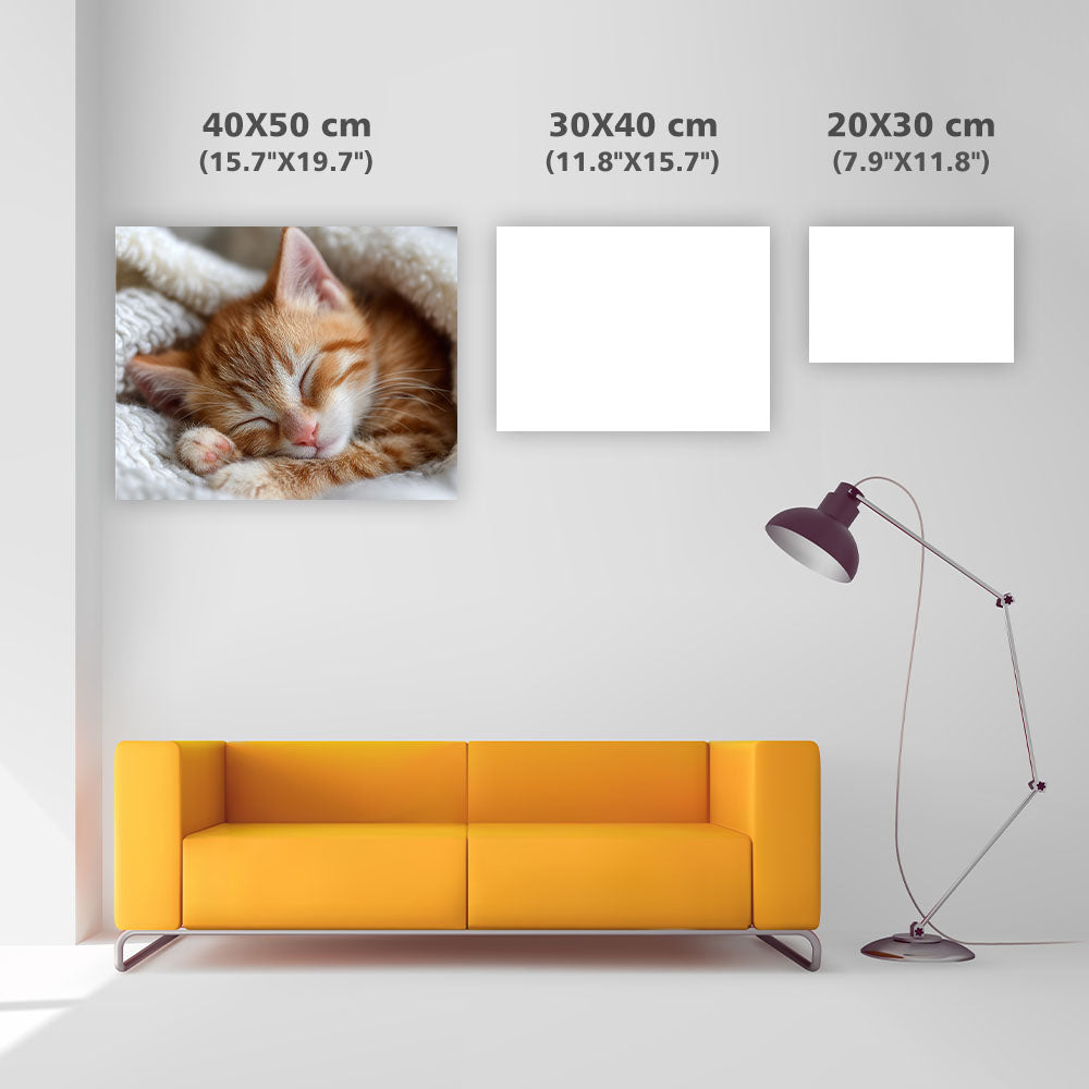 Orange Tabby Sweet Dream - Diamond Painting