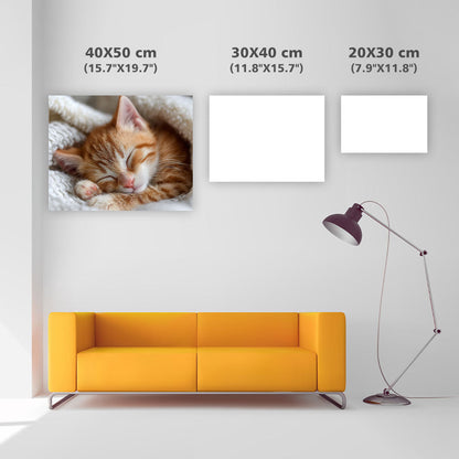 Orange Tabby Sweet Dream - Diamond Painting