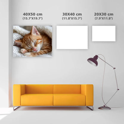 Orange Tabby Sweet Dream - Diamond Painting