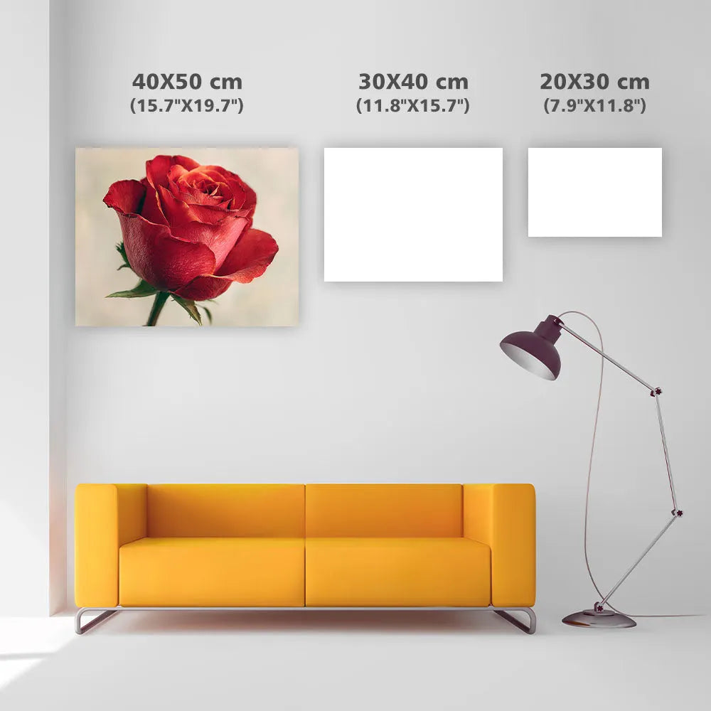 Detailed Red Rose - Diamond Painting
