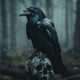 Raven and Skull - Diamond Painting