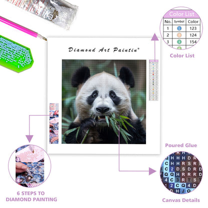 Panda Peace - Diamond Painting