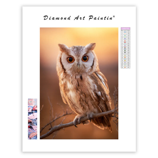 Owl Night Glow - Diamond Painting