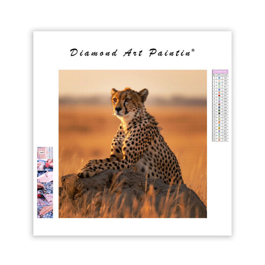 Cheetah Gaze - Diamond Painting