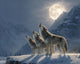 Wolves in the Moonlight - Diamond Painting