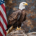 Patriotic Eagle - Diamond Painting