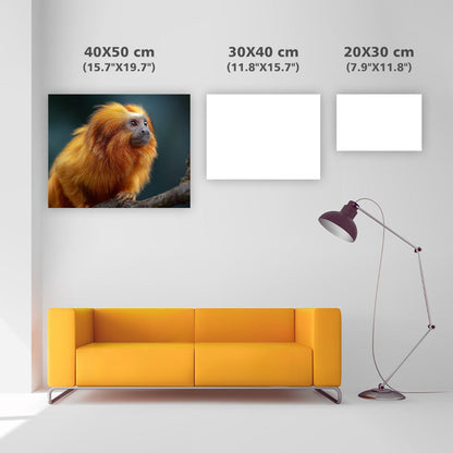 Golden Lion Tamarin - Diamond Painting