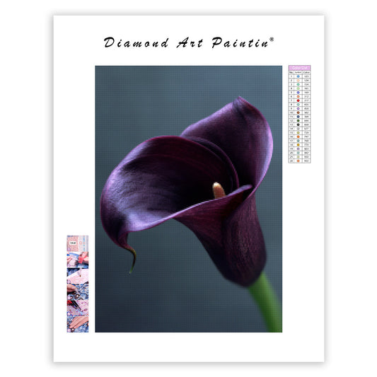 Purple Calla Lily - Diamond Painting