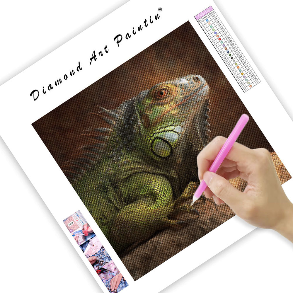 Green Iguana on Rock - Diamond Painting