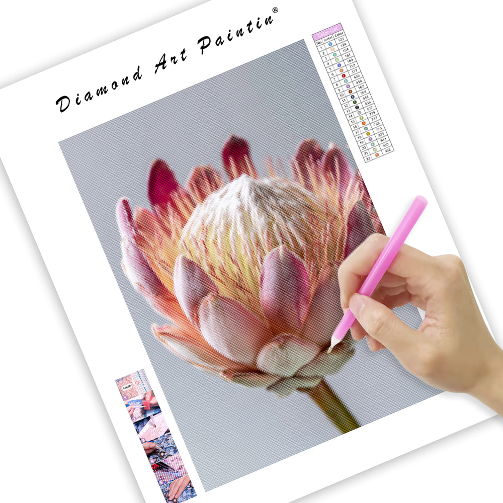 Protea Flower Head - Diamond Painting