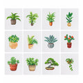 Mini-Indoor Greenery