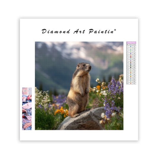 Marmot Whistling - Diamond Painting