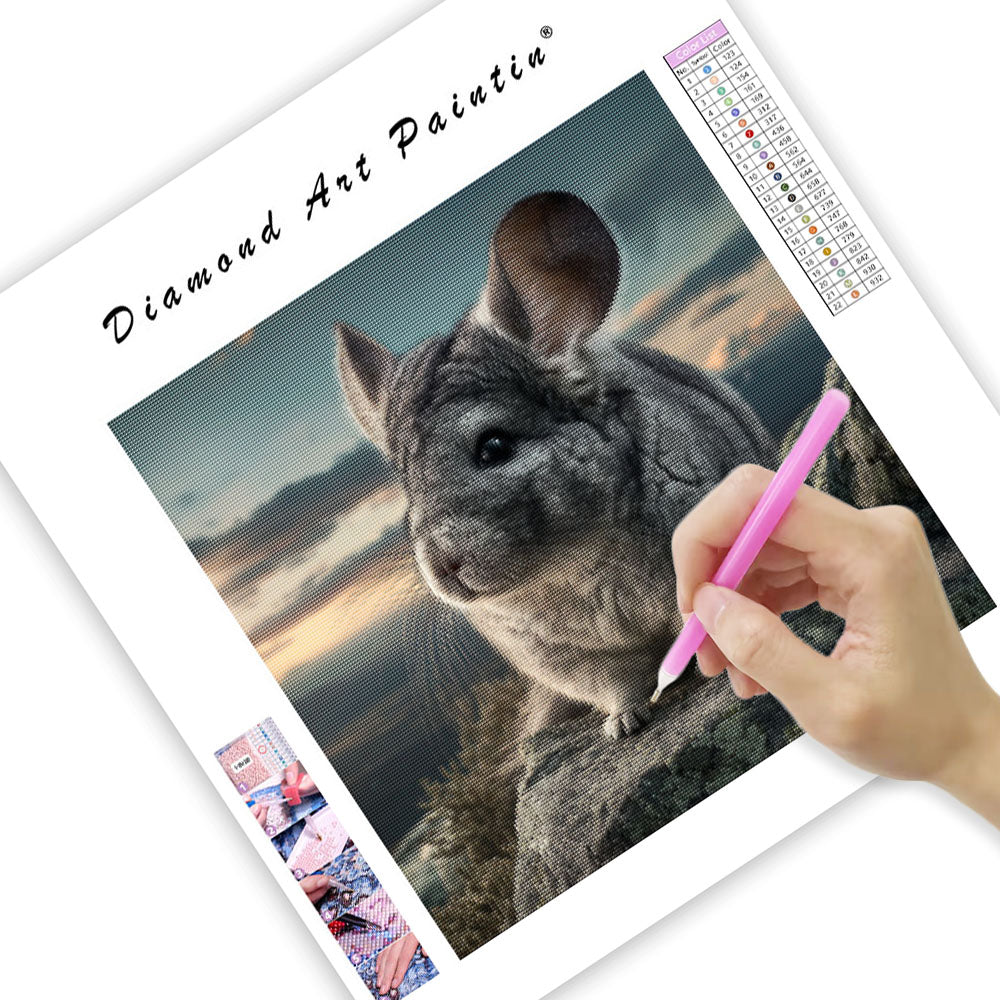 Chinchilla on Rock - Diamond Painting