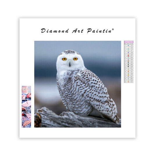Snowy Owl on Log - Diamond Painting