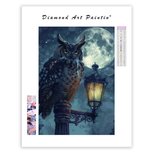 Galaxy Owl - Diamond Painting