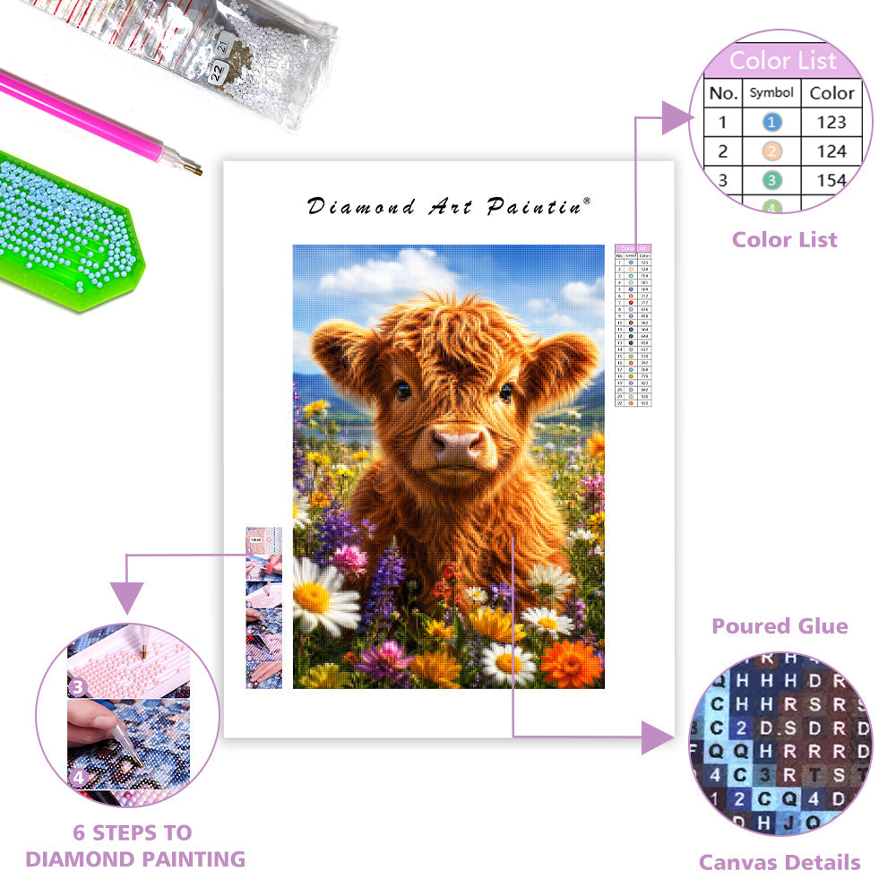 Meadow Highland Calf - Diamond Painting