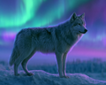 Aurora Wolf - Diamond Painting