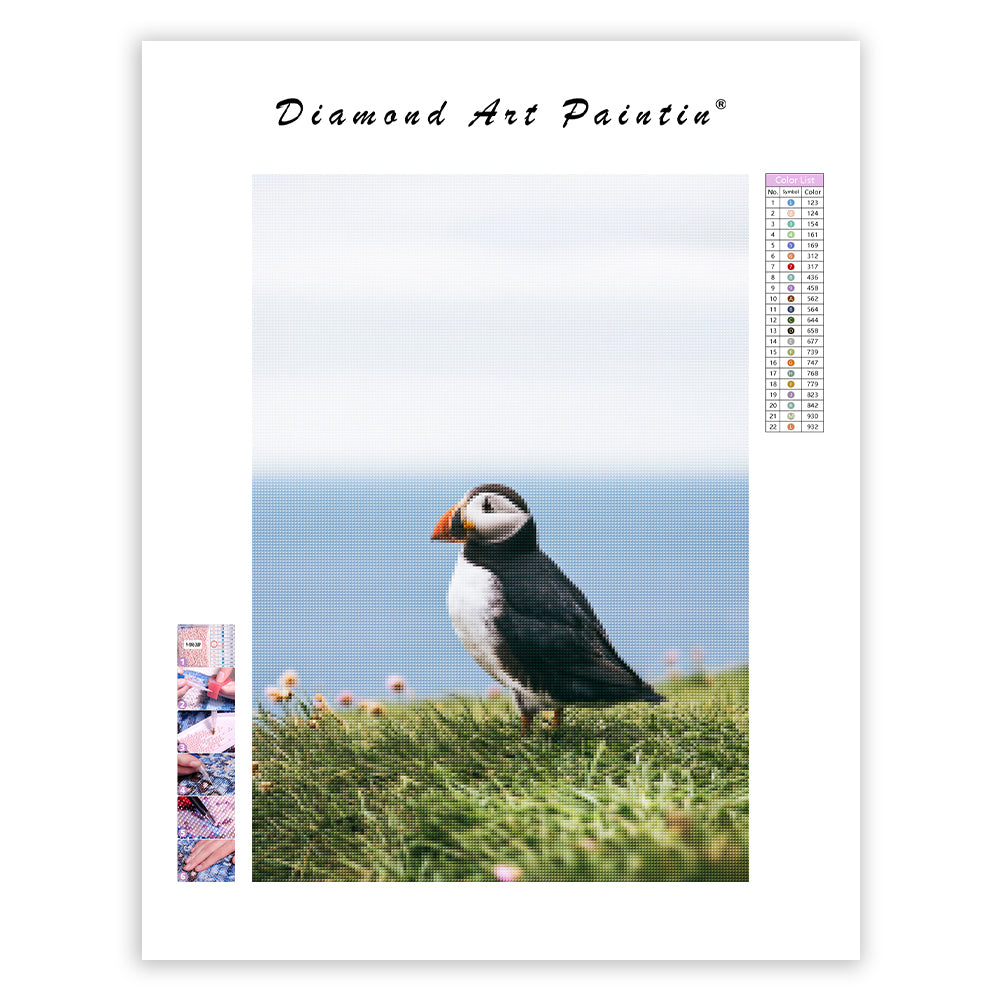 Coastal Puffin - Diamond Painting