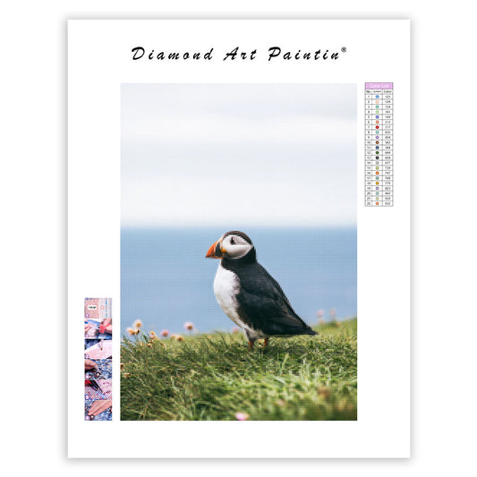 Coastal Puffin - Diamond Painting