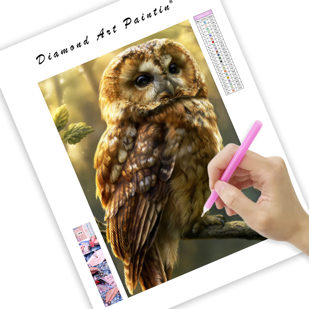 Forest Owl - Diamond Painting