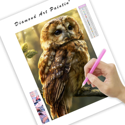 Forest Owl - Diamond Painting