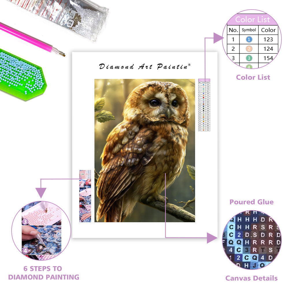 Forest Owl - Diamond Painting