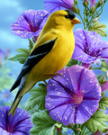 Goldfinch Morning - Diamond Painting