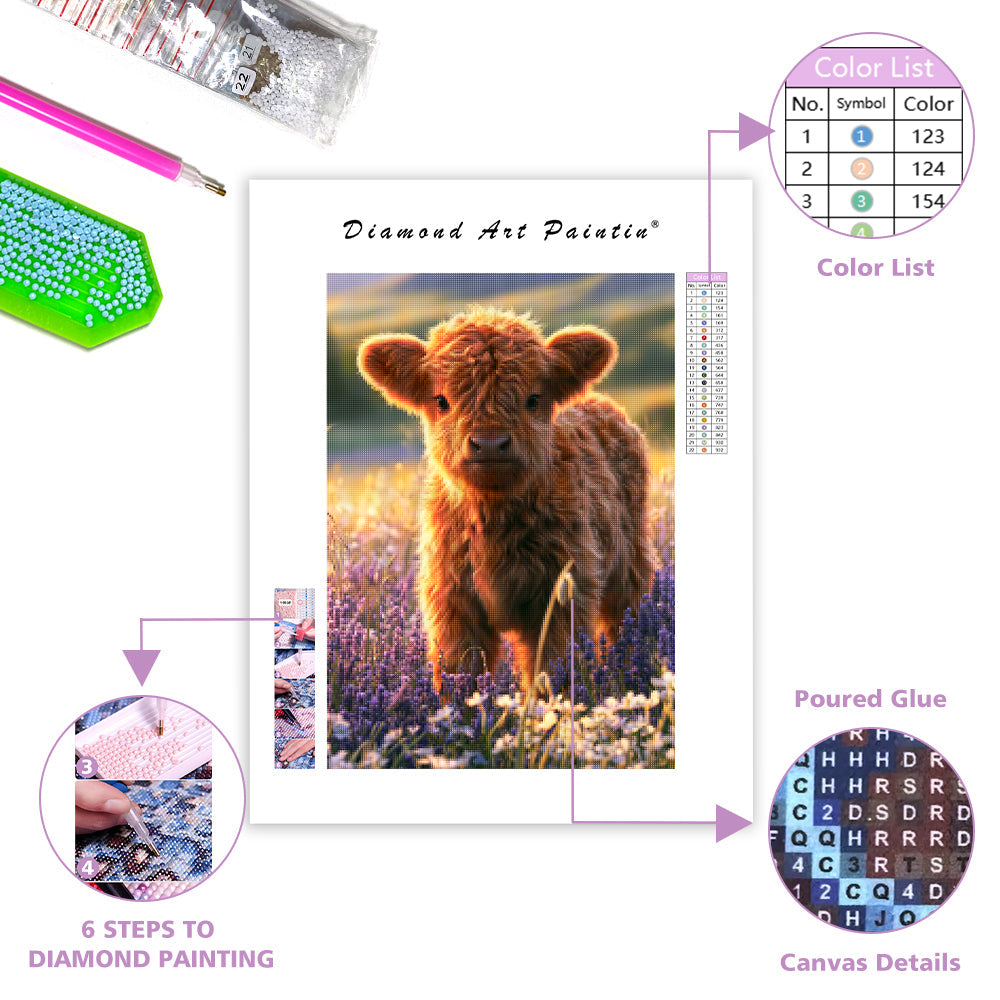Highland Calf - Diamond Painting