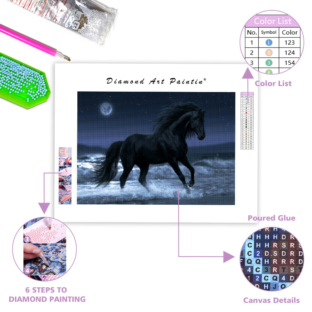 Midnight Horse - Diamond Painting