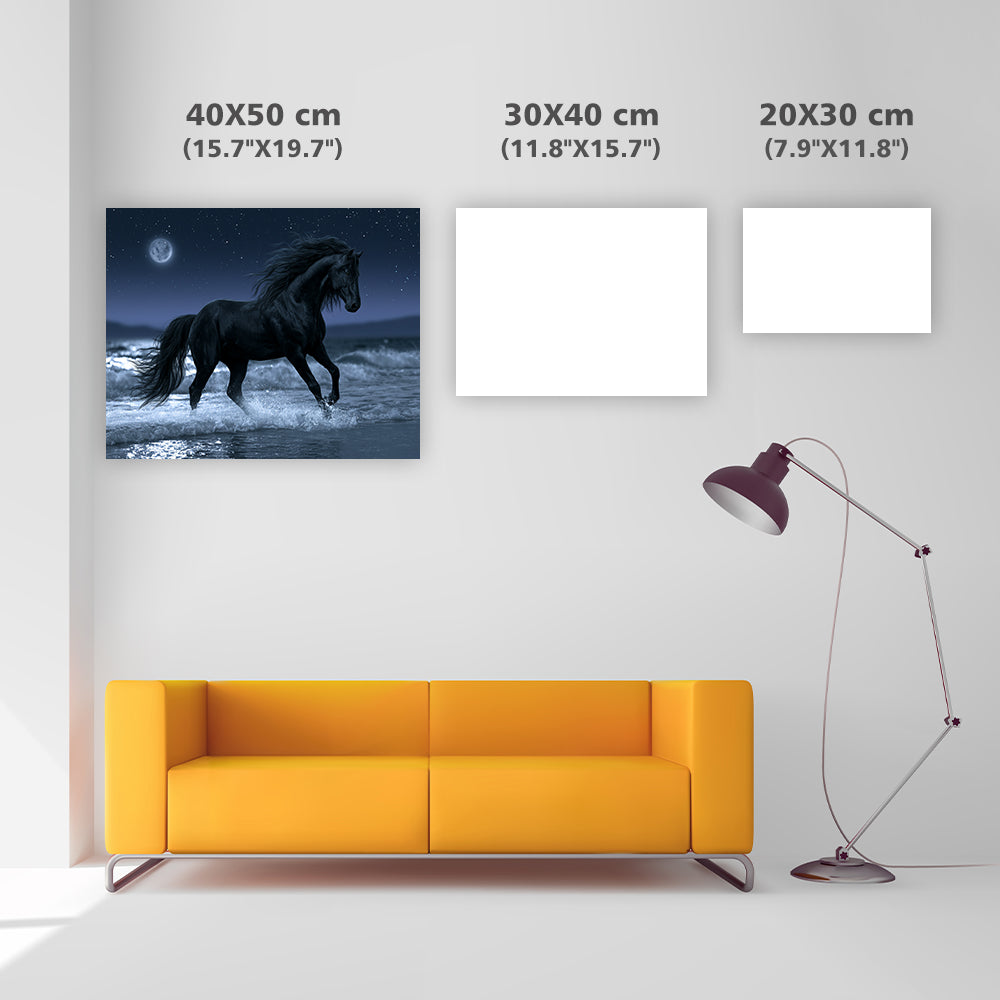 Midnight Horse - Diamond Painting