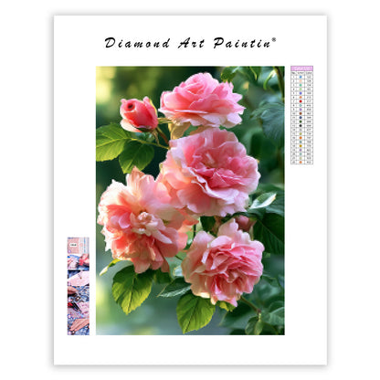Pink Roses - Diamond Painting