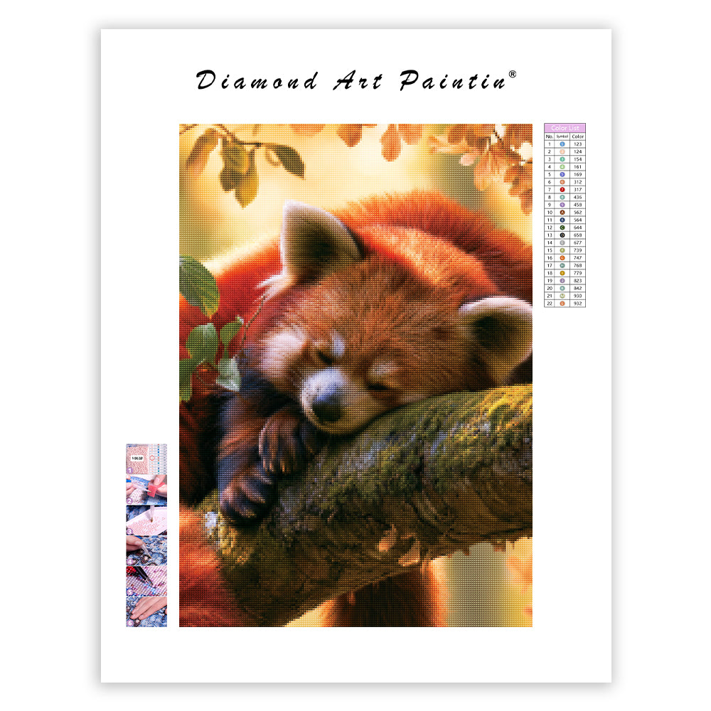 Red Panda Rest - Diamond Painting