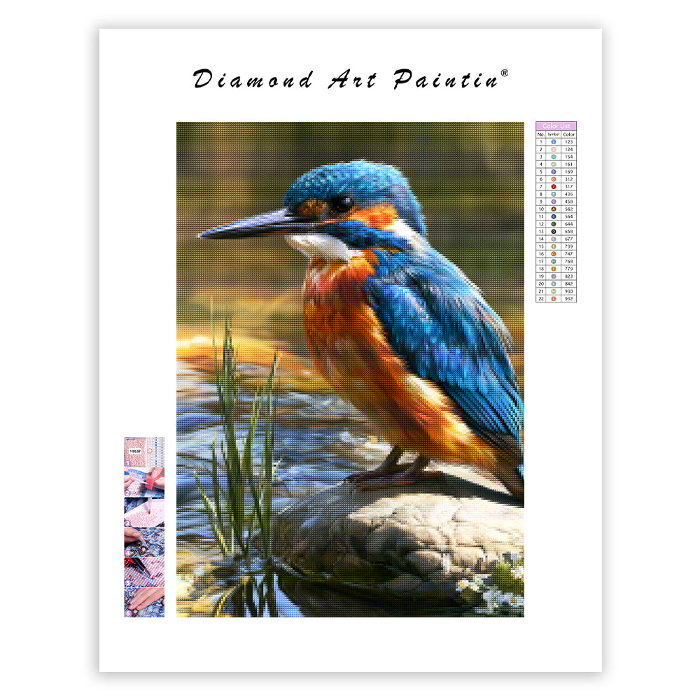 River Kingfisher - Diamond Painting
