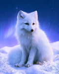 Starlight Polar Fox - Diamond Painting