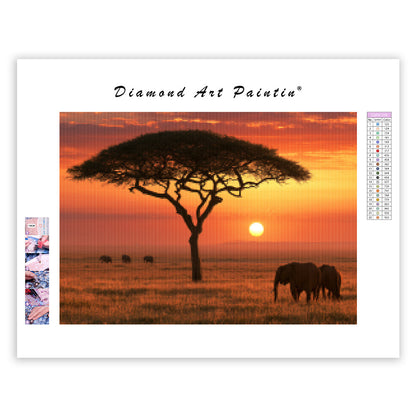 African Savanna Sunset - Diamond Painting
