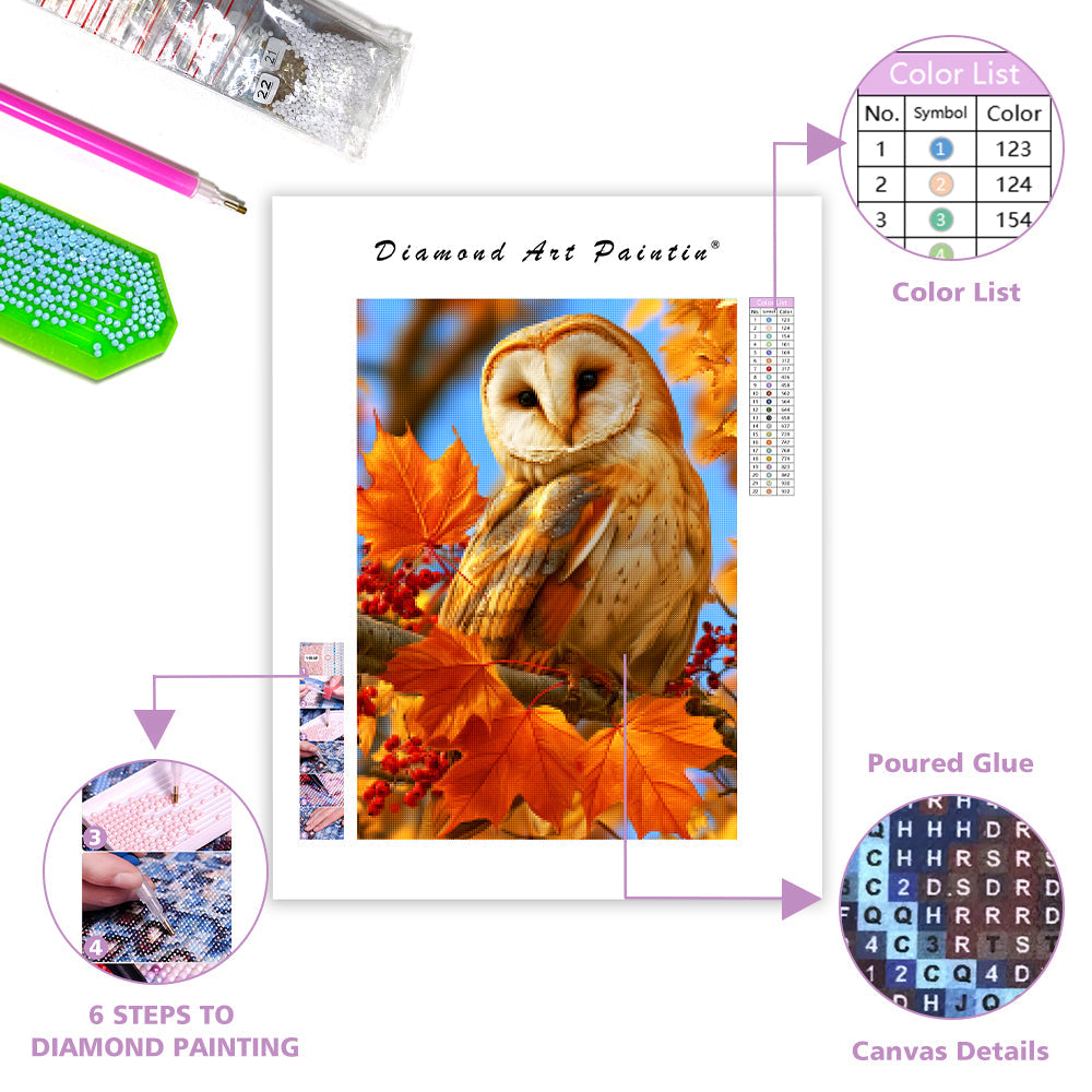 Autumn Owl - Diamond Painting