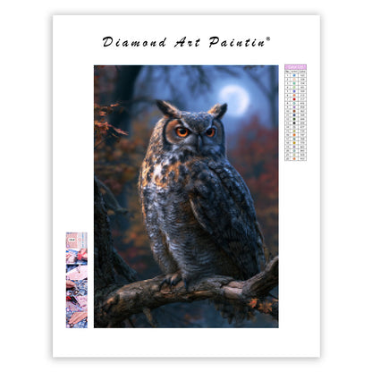 Enchanted Owl - Diamond Painting